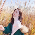 芒果体育下载手机版